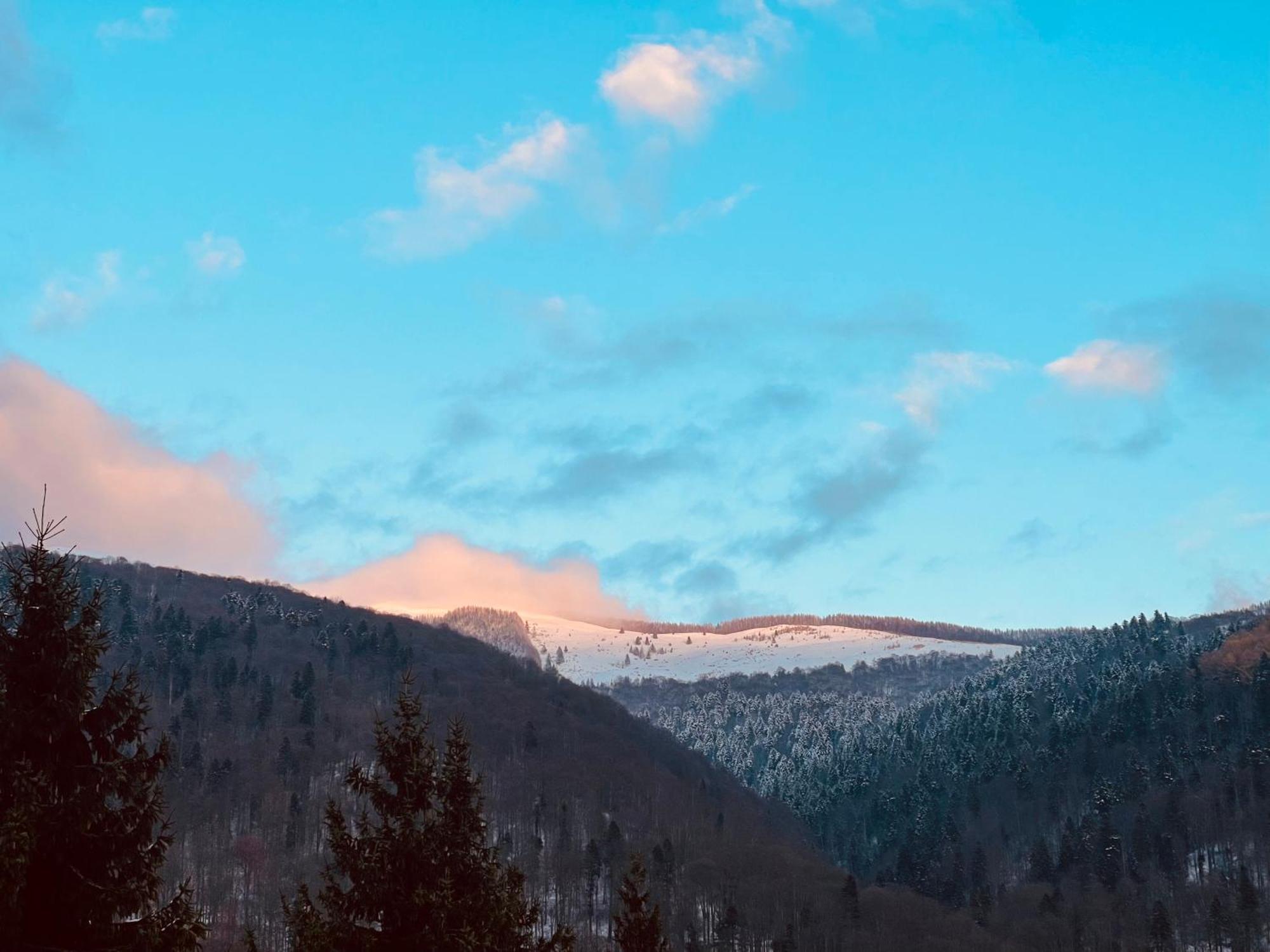 The Nest Apartment Sinaia Exterior photo